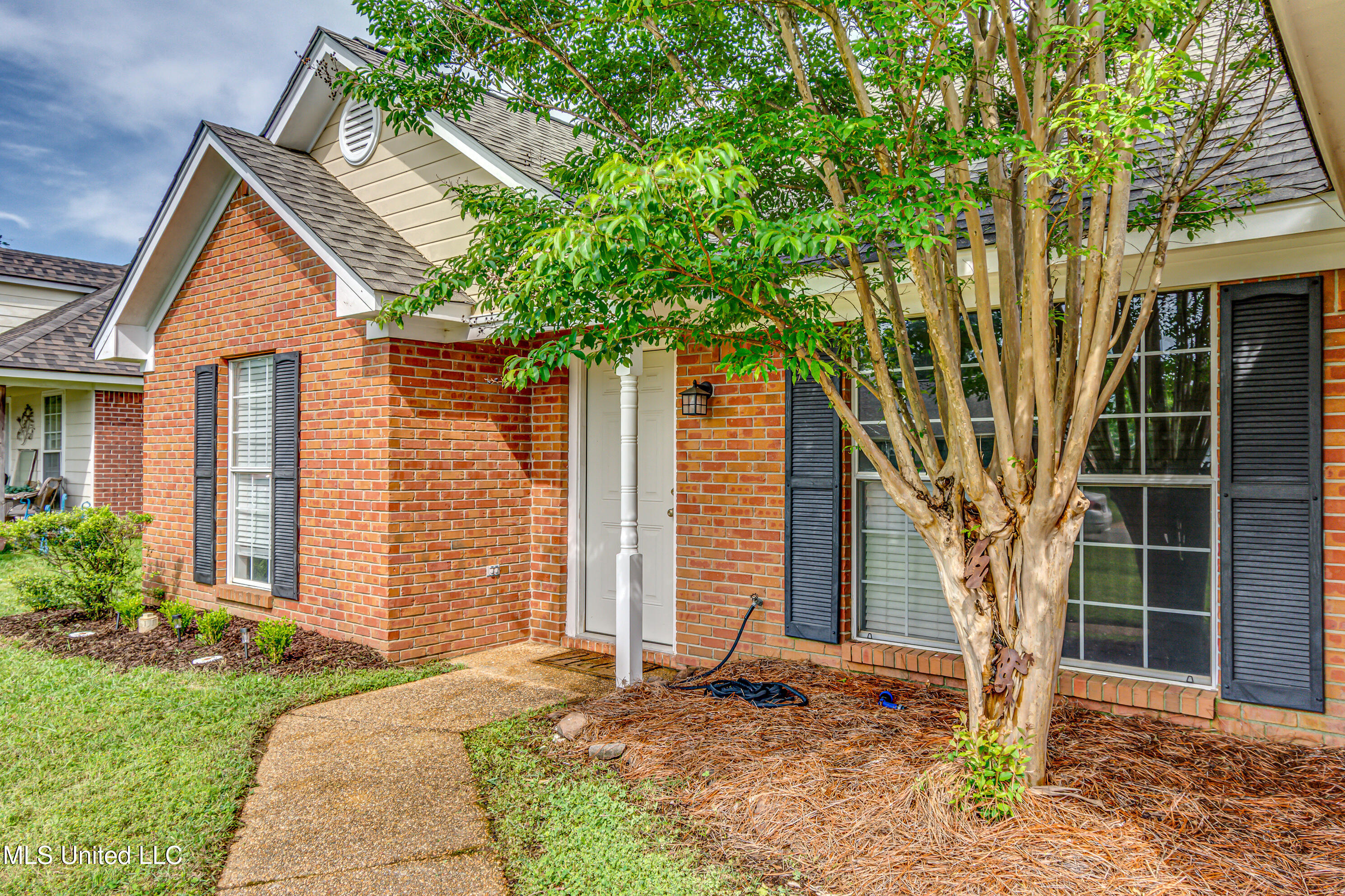 220 Cherry Bark Drive, Brandon, Mississippi image 3