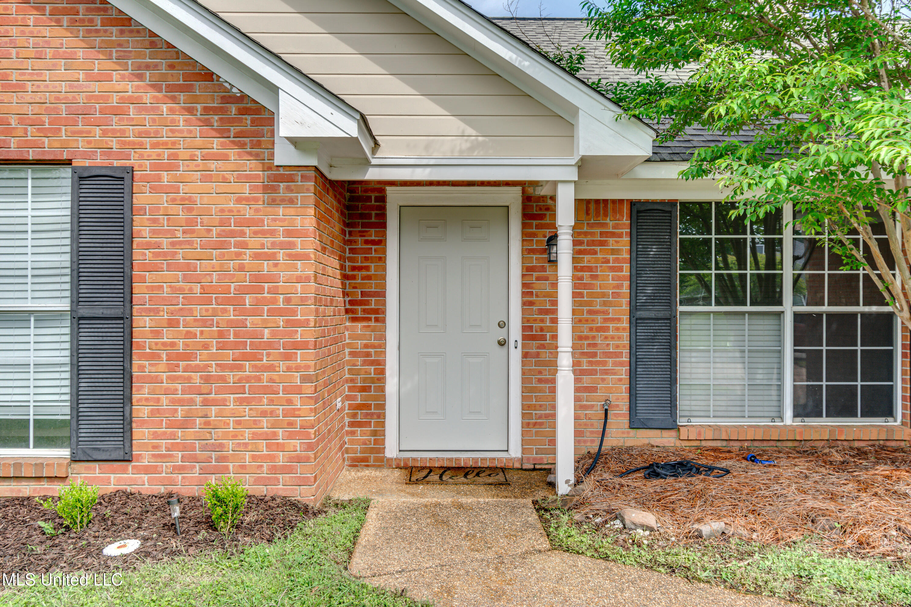 220 Cherry Bark Drive, Brandon, Mississippi image 4