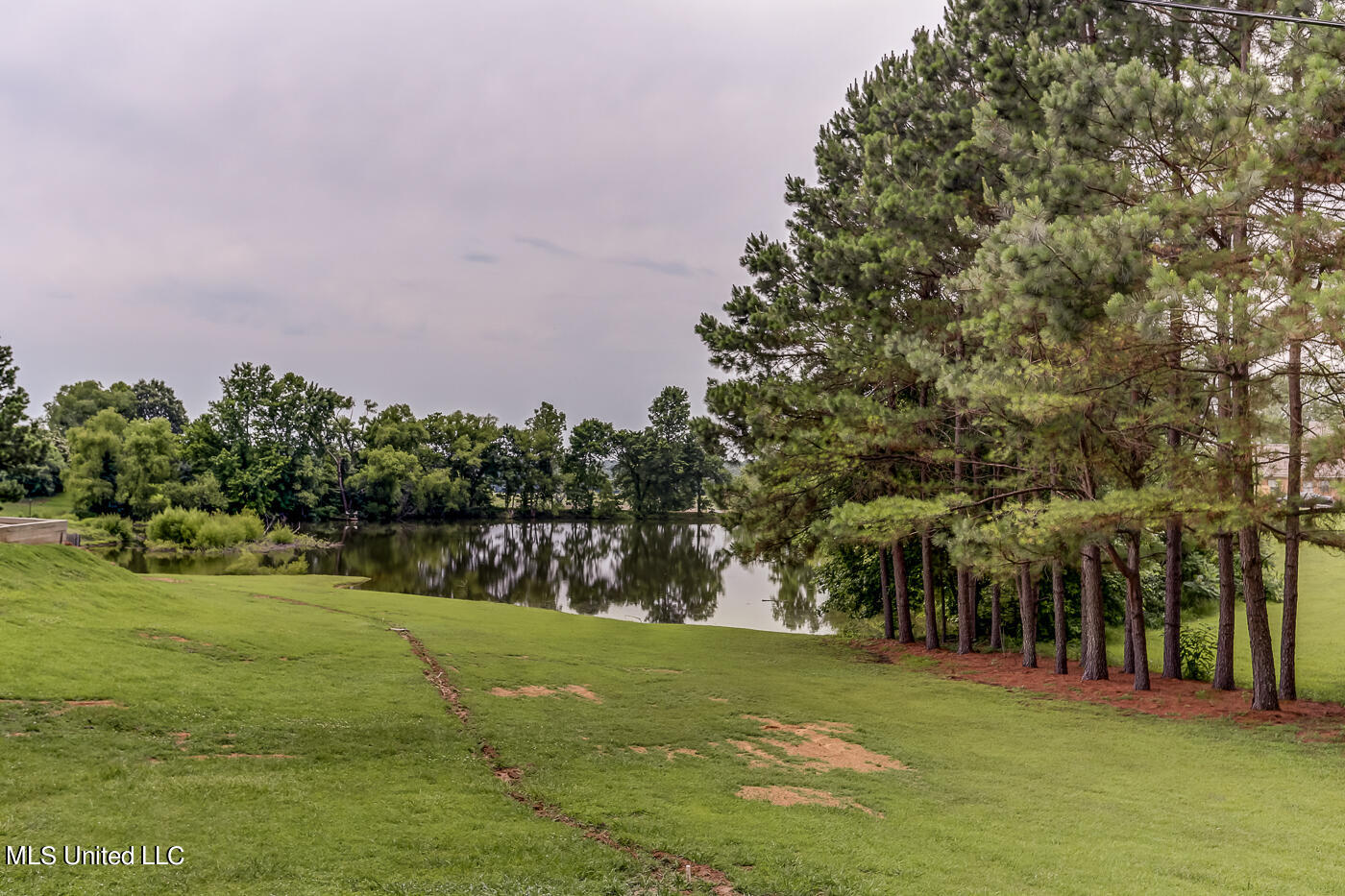 4182 Summer Circle, Lake Cormorant, Mississippi image 4