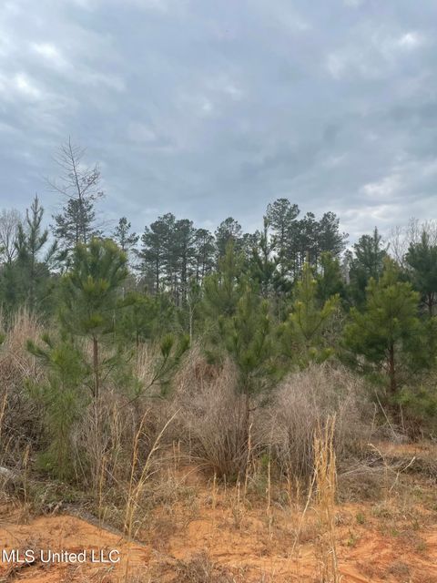 Vacant Land For Sale - Co Rd 419<br/> Calhoun City, MS 38916
