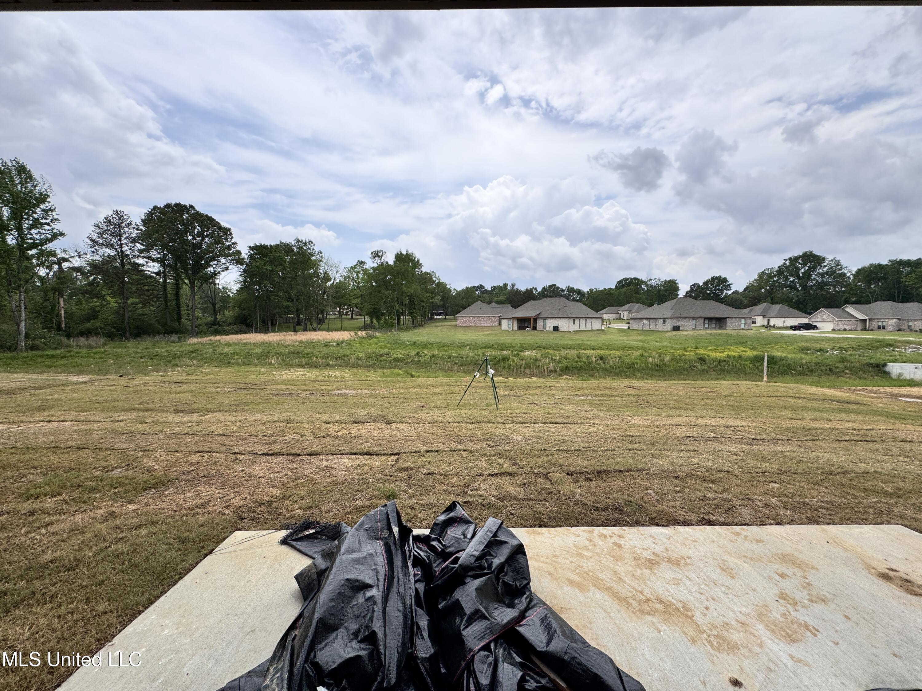 763 Magnolia Point Circle, Pearl, Mississippi image 23