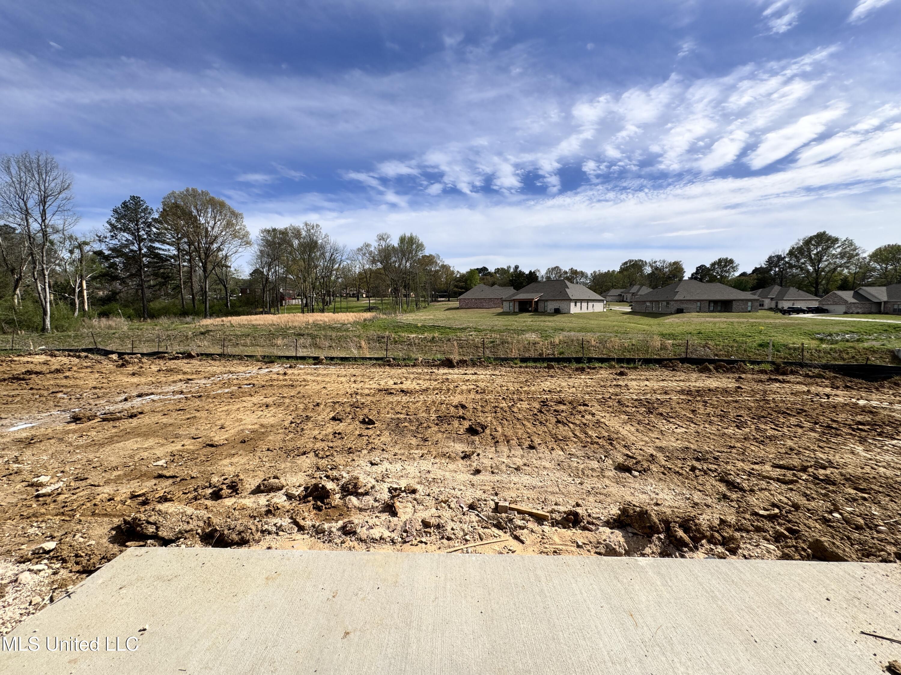 763 Magnolia Point Circle, Pearl, Mississippi image 20
