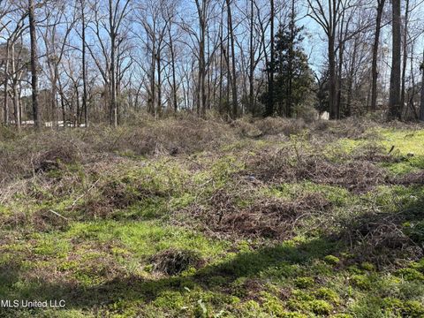 Vacant Land For Sale - Loom Street<br/> Wesson, MS 39191