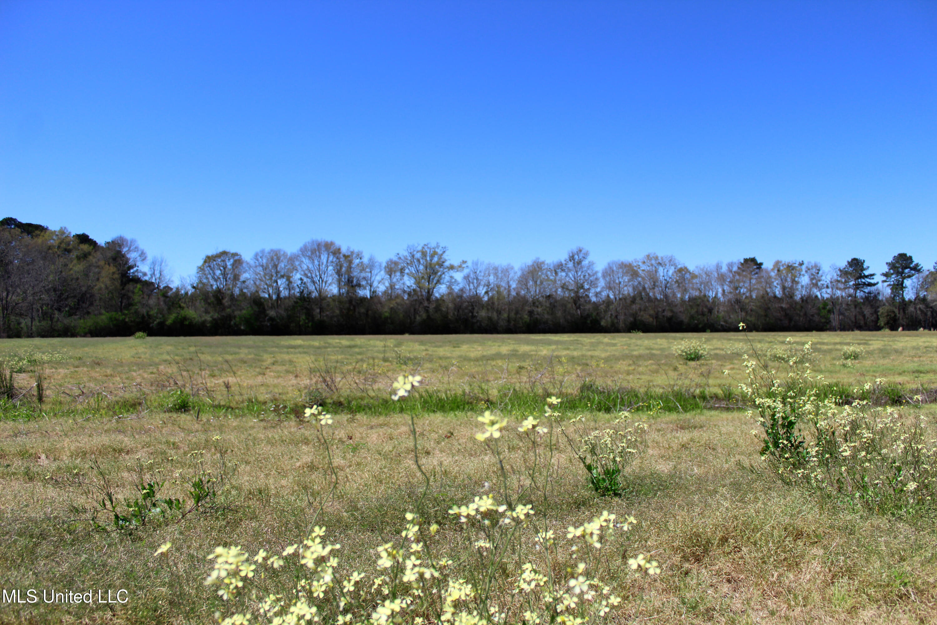 Lot 3 Ramie Farm Road, Moss Point, Mississippi image 2