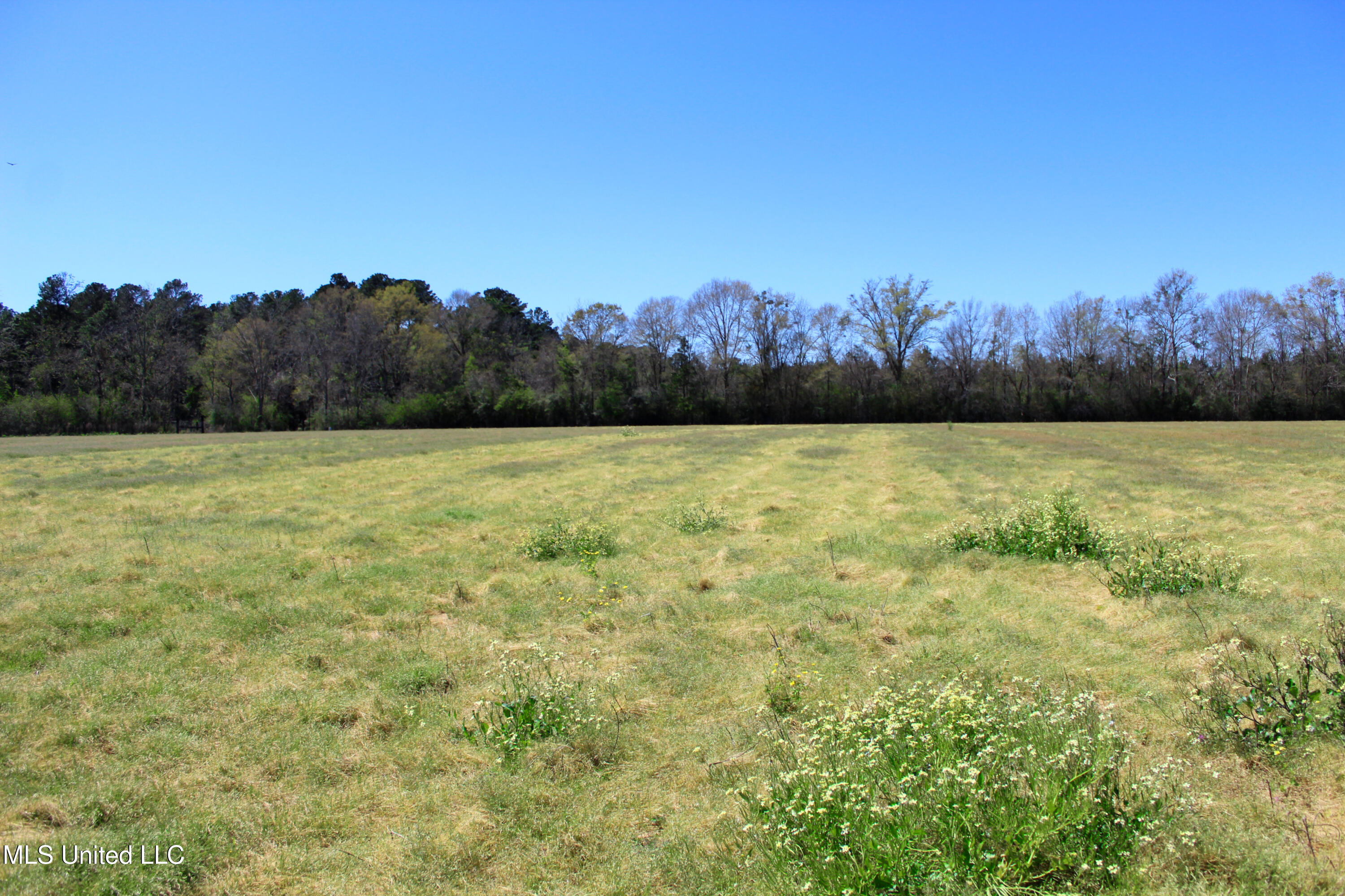 Lot 3 Ramie Farm Road, Moss Point, Mississippi image 1