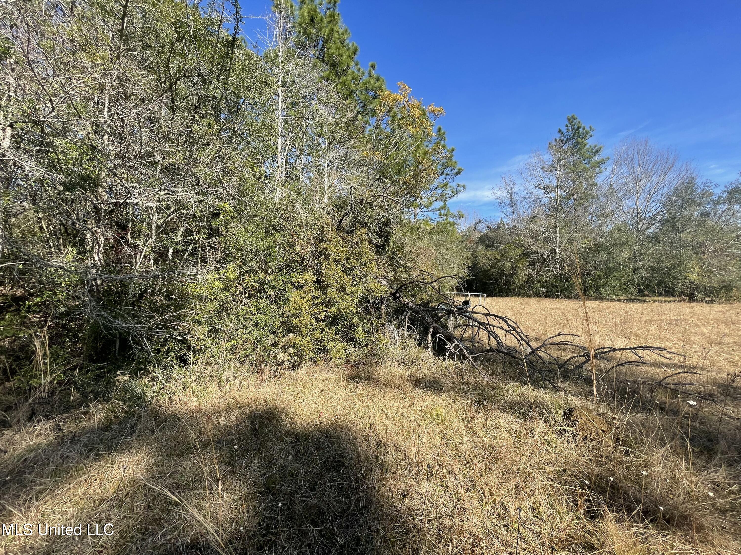 Martina Street, Saucier, Mississippi image 9