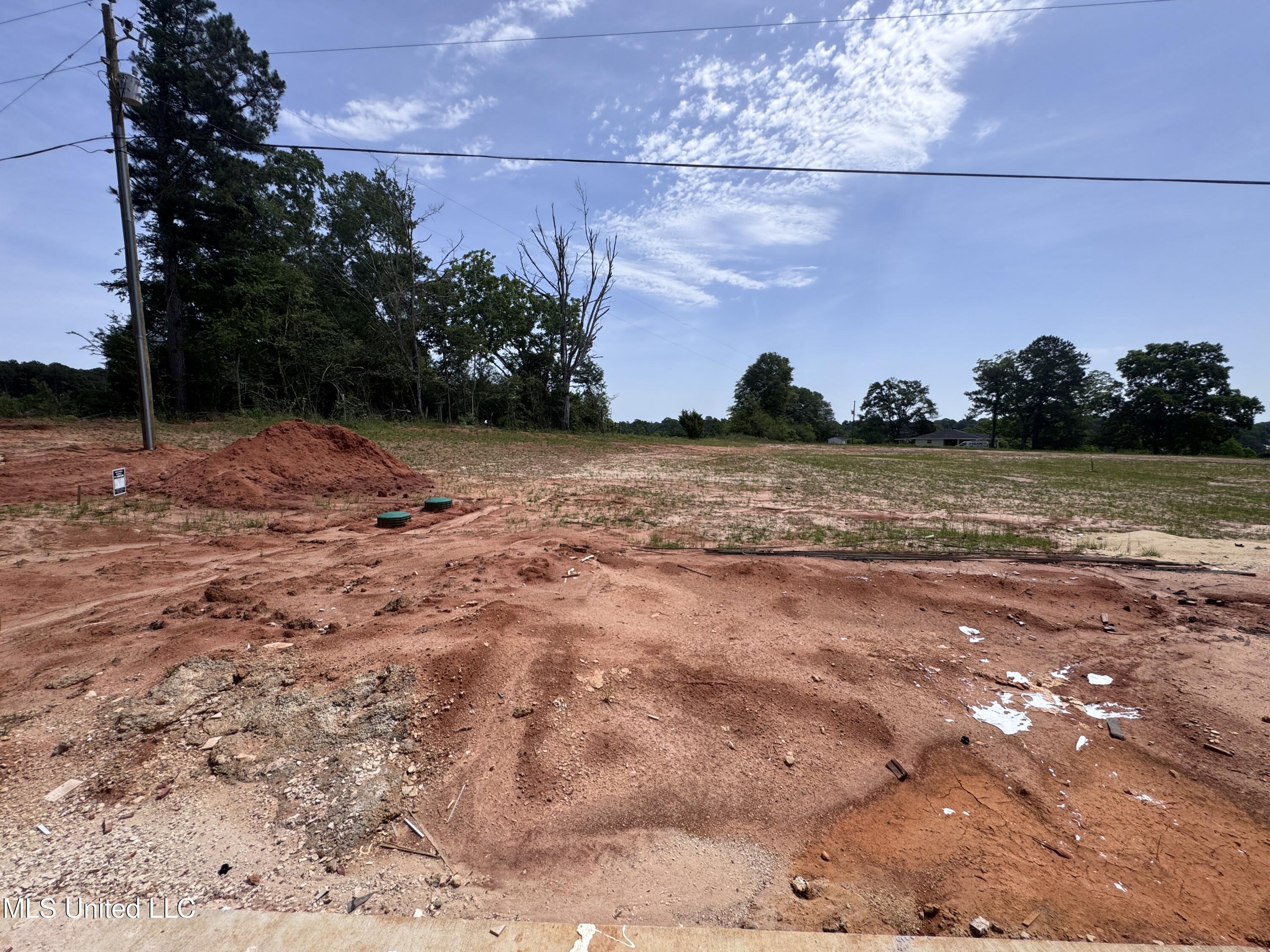 158 Walter Jones Road, Mendenhall, Mississippi image 24