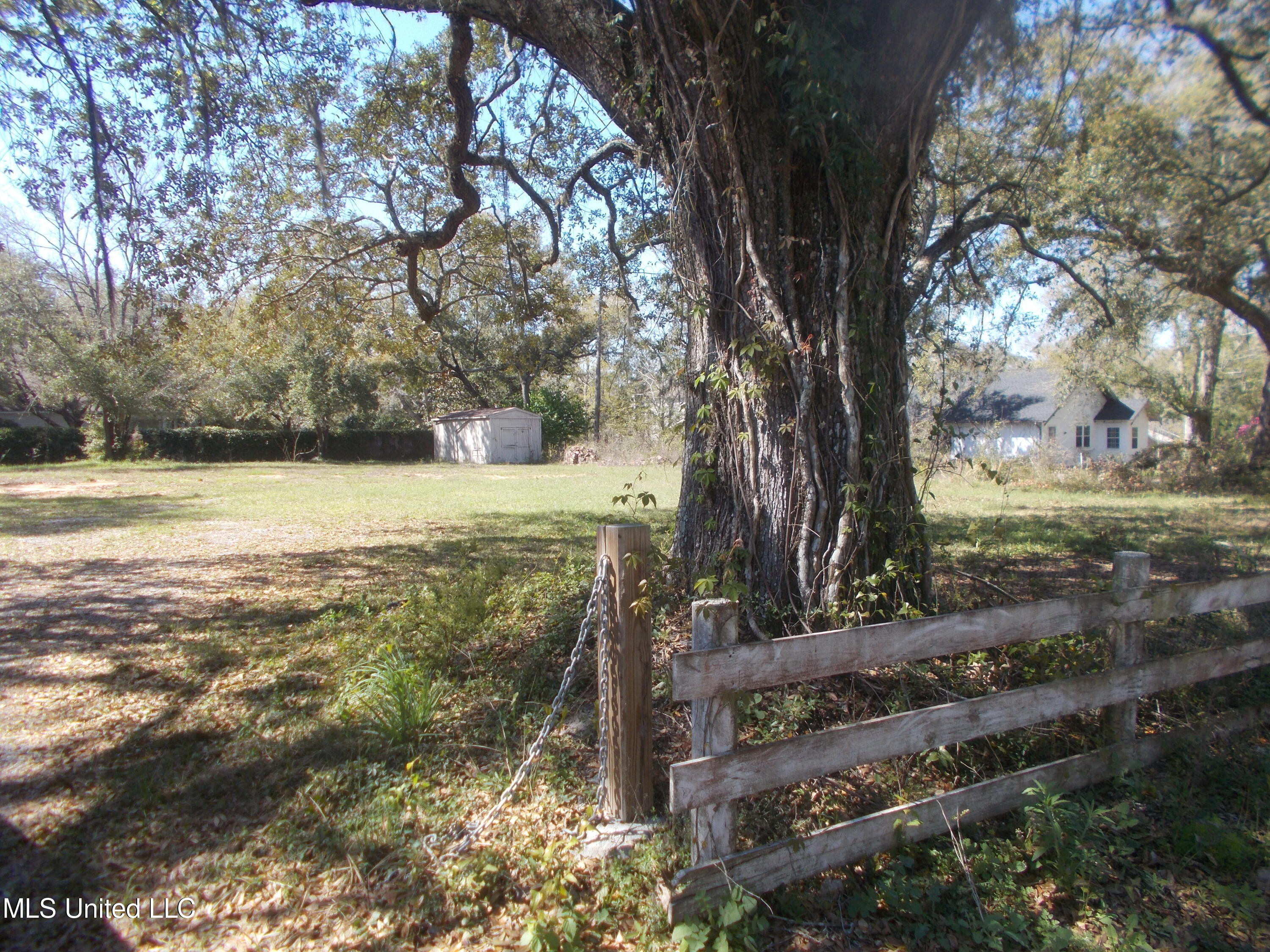 Pine Street, Gulfport, Mississippi image 1