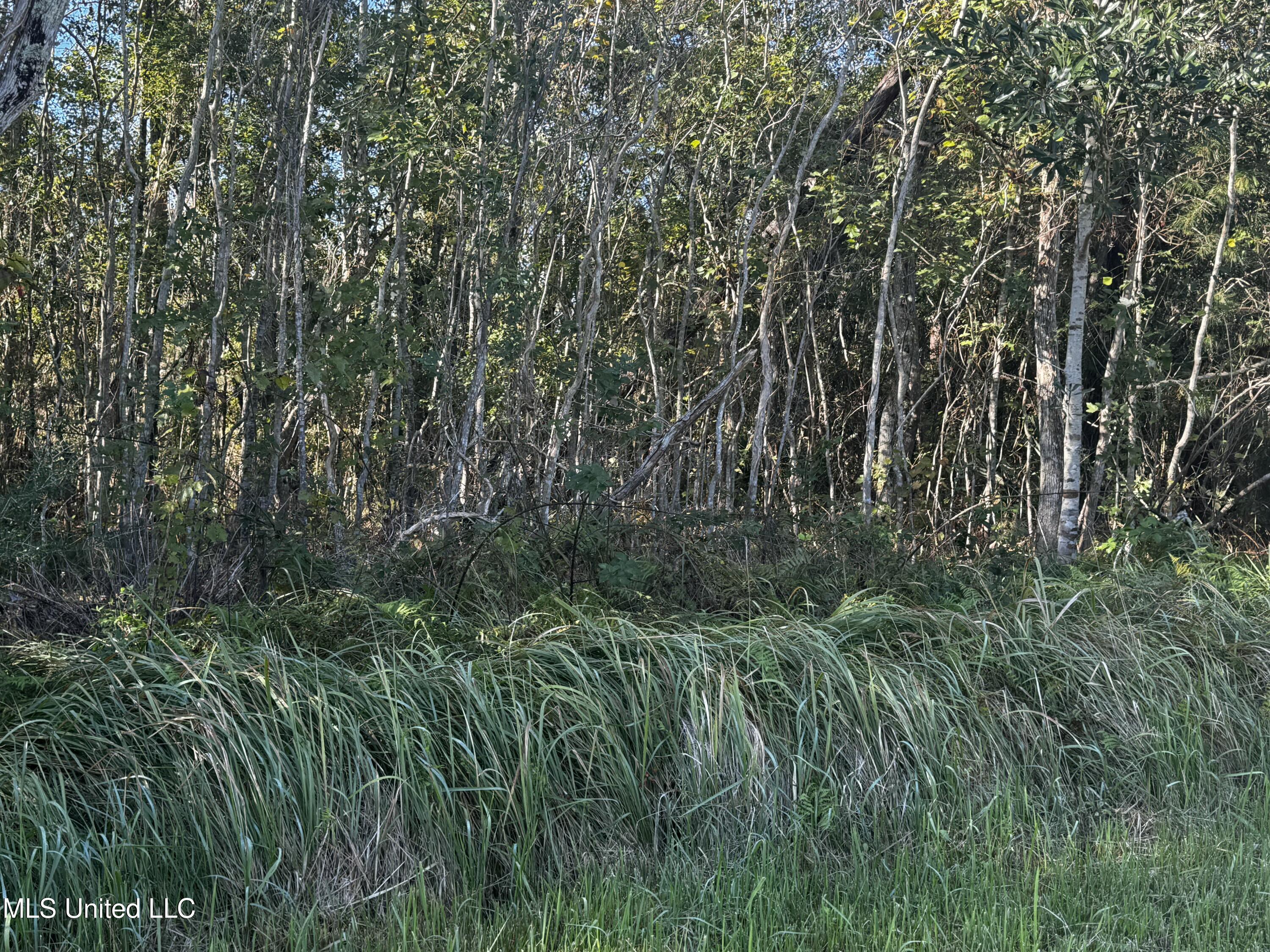 Farrar Lane, Waveland, Mississippi image 4