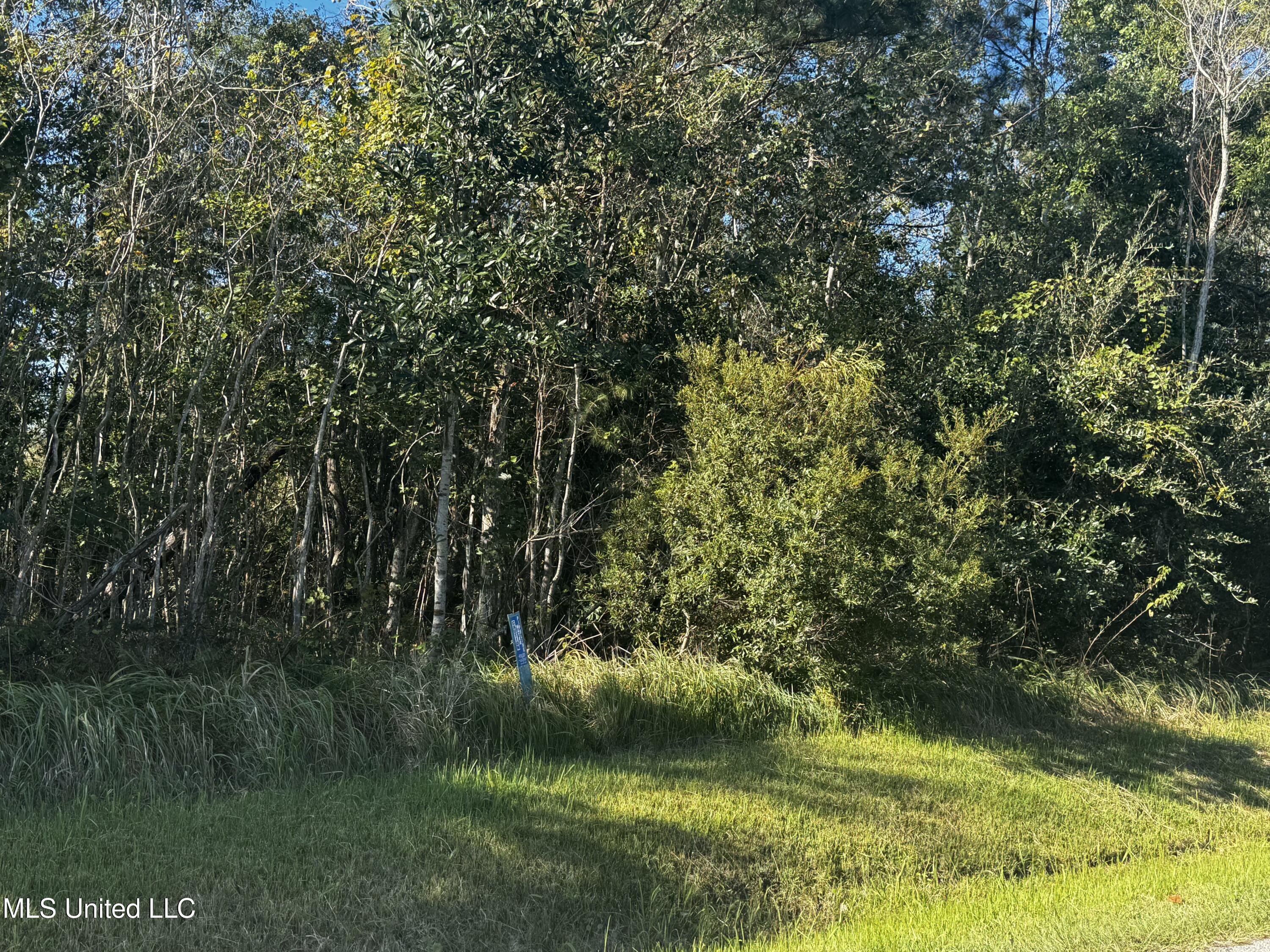 Farrar Lane, Waveland, Mississippi image 3