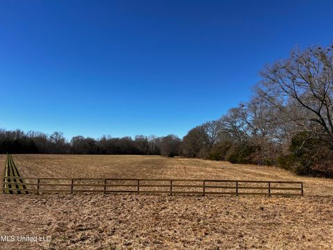 Vacant Land For Sale - Hank's Trail<br/> Flora, MS 39071