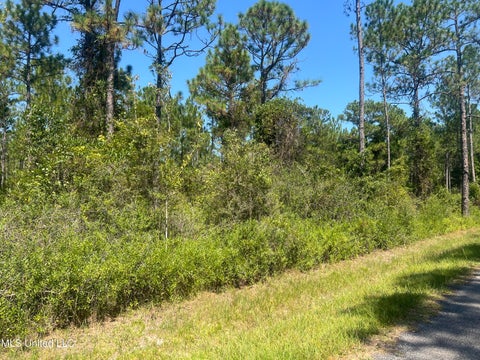 Vacant Land For Sale - Leggett Road<br/> Long Beach, MS 39560