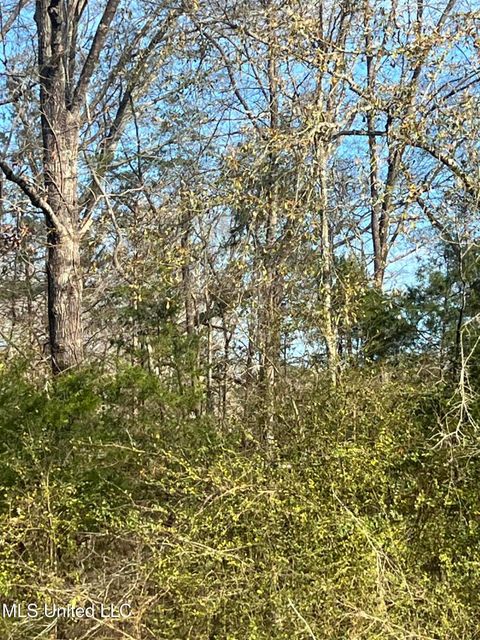 Vacant Land For Sale - Adams Station Road<br/> Utica, MS 39175