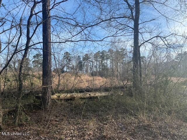 Lot A Slocum Road, Hernando, Mississippi image 7