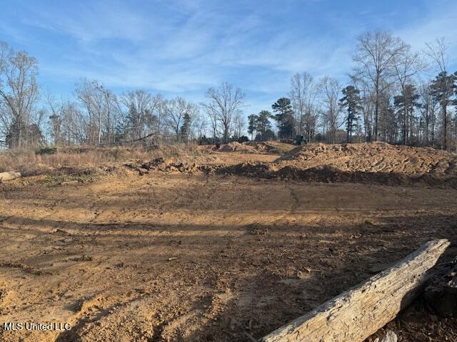 Lot A Slocum Road, Hernando, Mississippi image 5