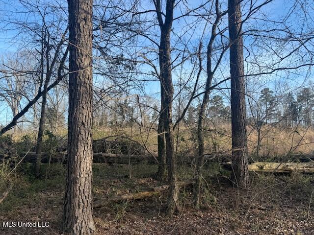 Lot A Slocum Road, Hernando, Mississippi image 2