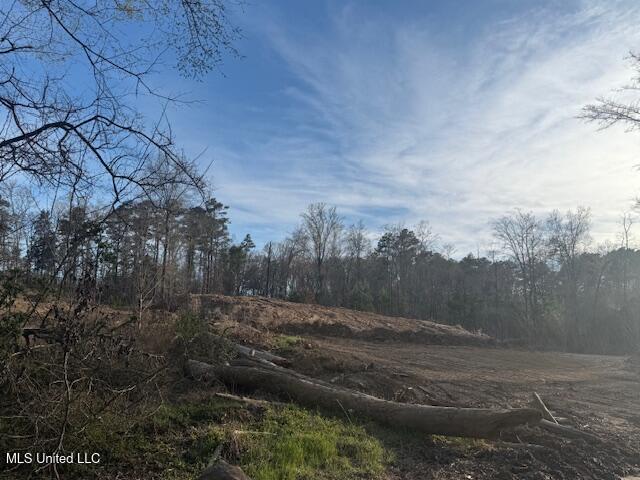 Lot A Slocum Road, Hernando, Mississippi image 1