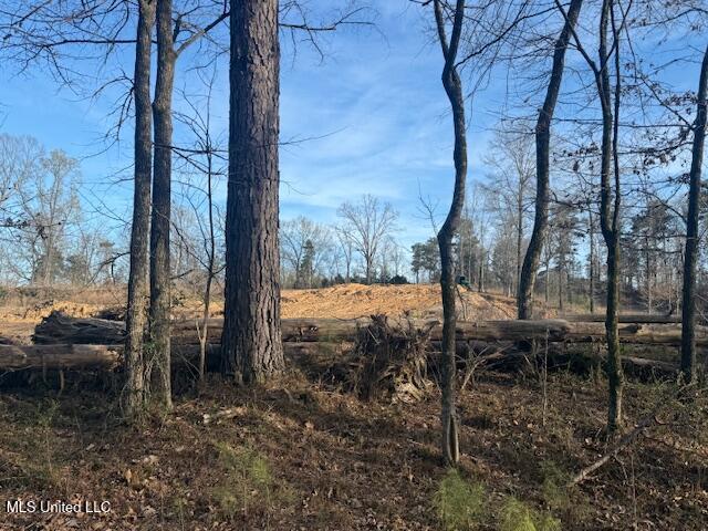 Lot A Slocum Road, Hernando, Mississippi image 4