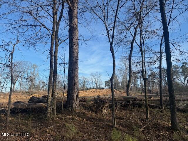 Lot A Slocum Road, Hernando, Mississippi image 3
