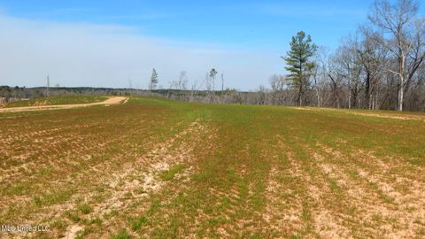 Vacant Land For Sale - 706 Graysport Crossing Road<br/> Gore Springs, MS 38929