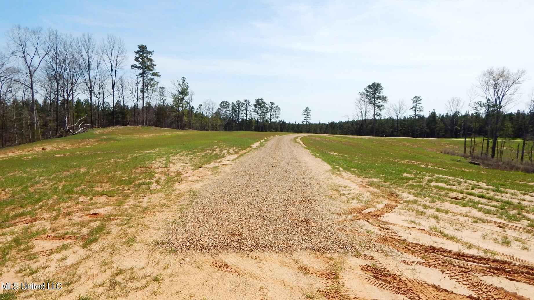 706 Graysport Crossing Road, Gore Springs, Mississippi image 6