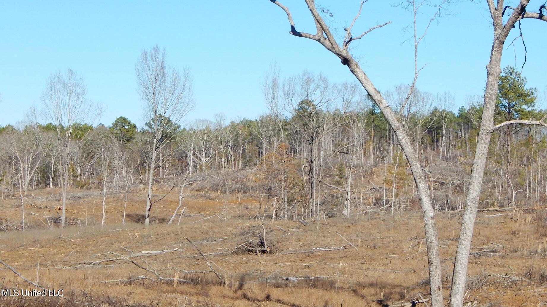 706 Graysport Crossing Road, Gore Springs, Mississippi image 9