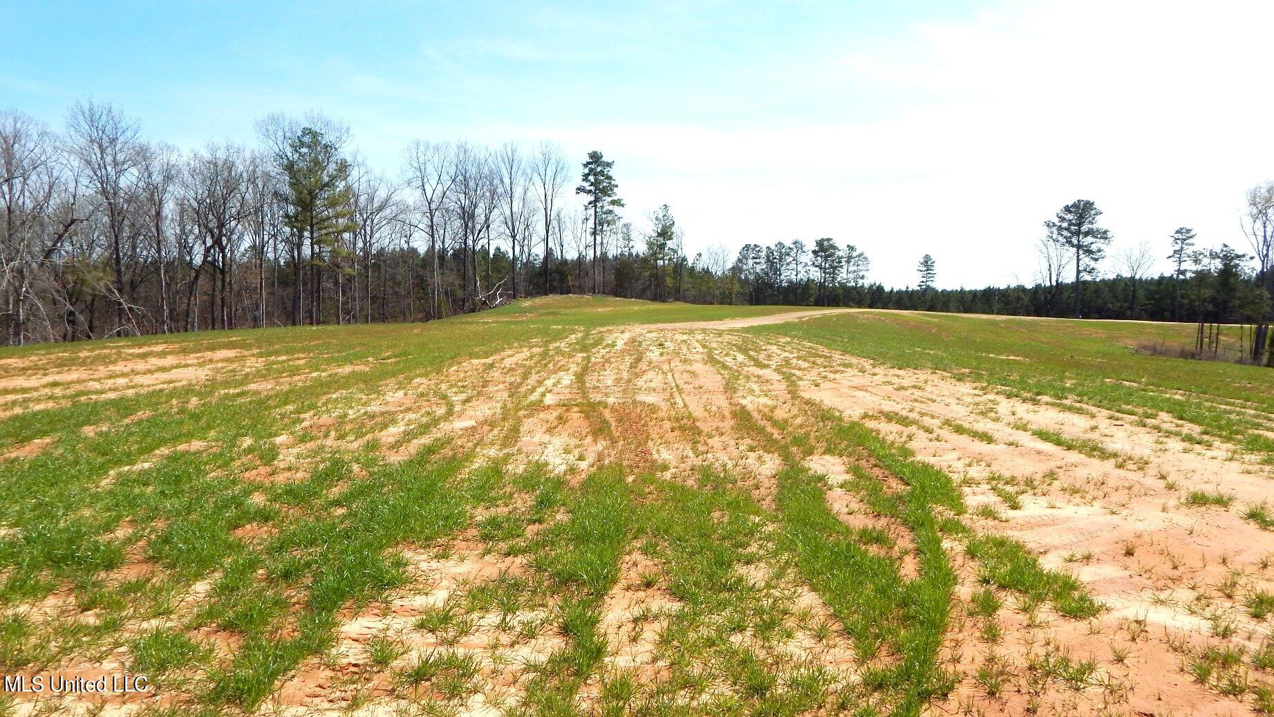 706 Graysport Crossing Road, Gore Springs, Mississippi image 7