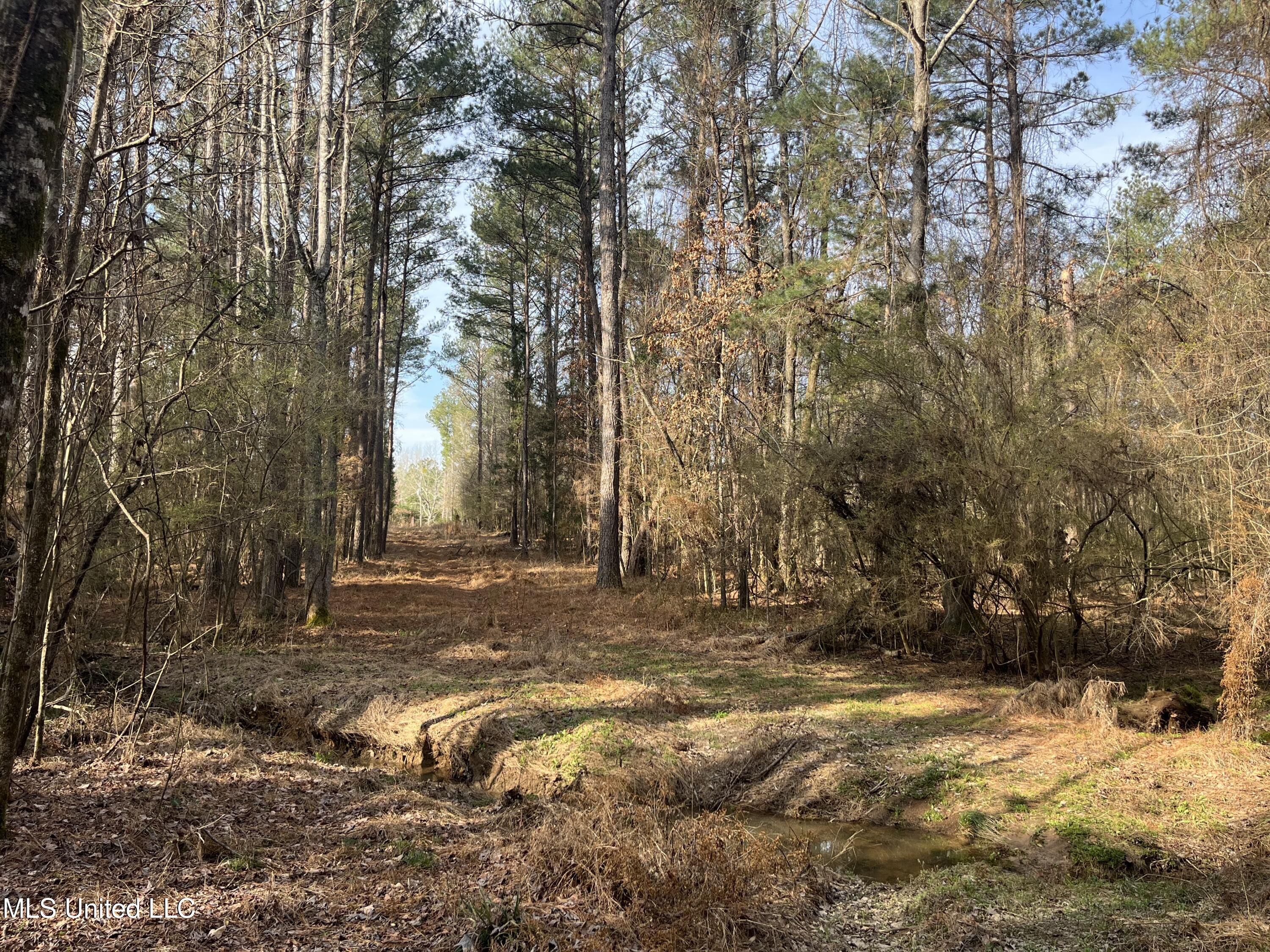 Barnes Road, Florence, Mississippi image 24