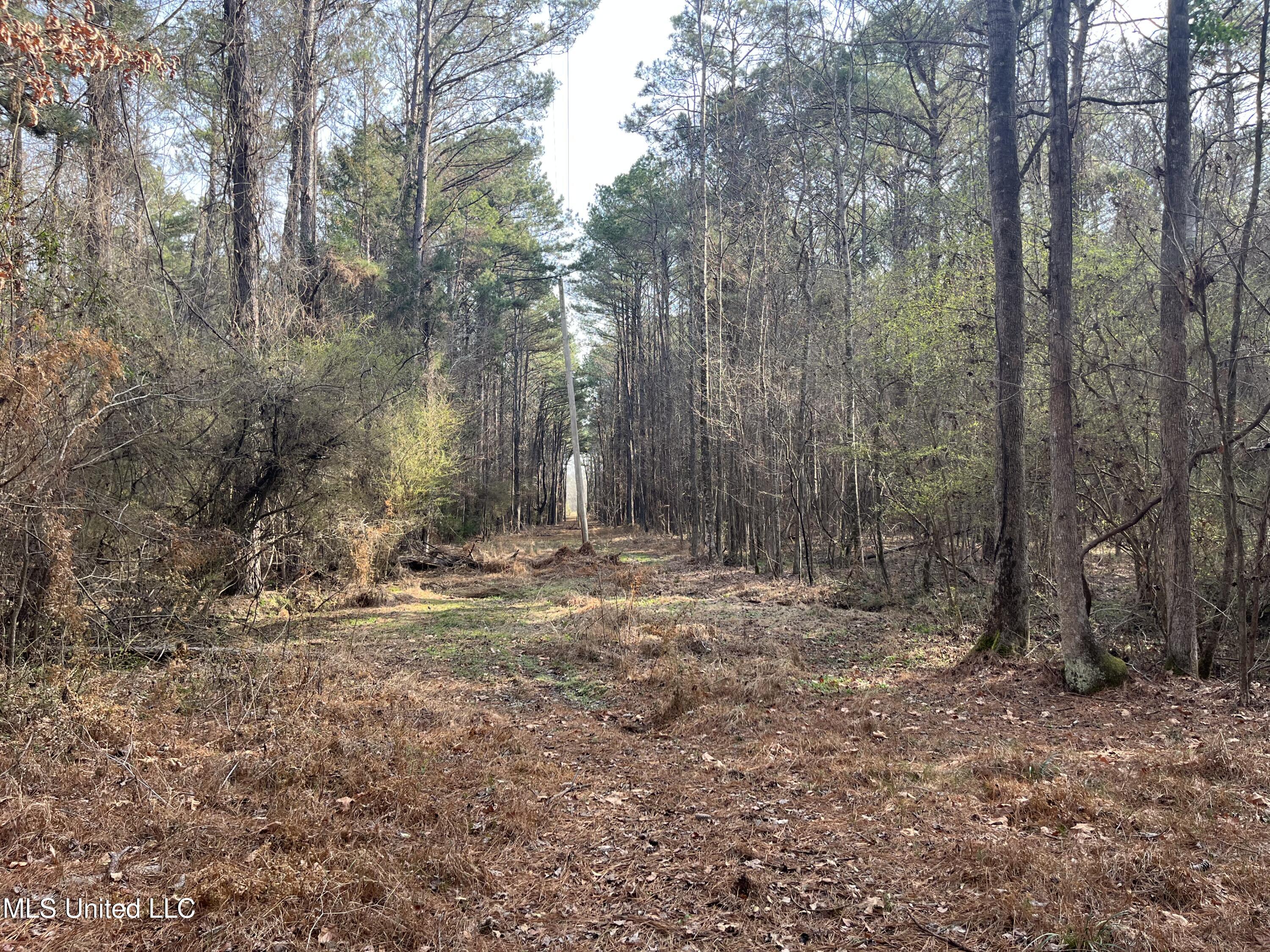 Barnes Road, Florence, Mississippi image 26
