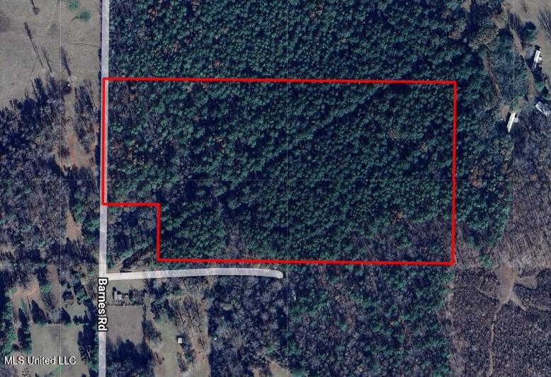 Barnes Road, Florence, Mississippi image 2