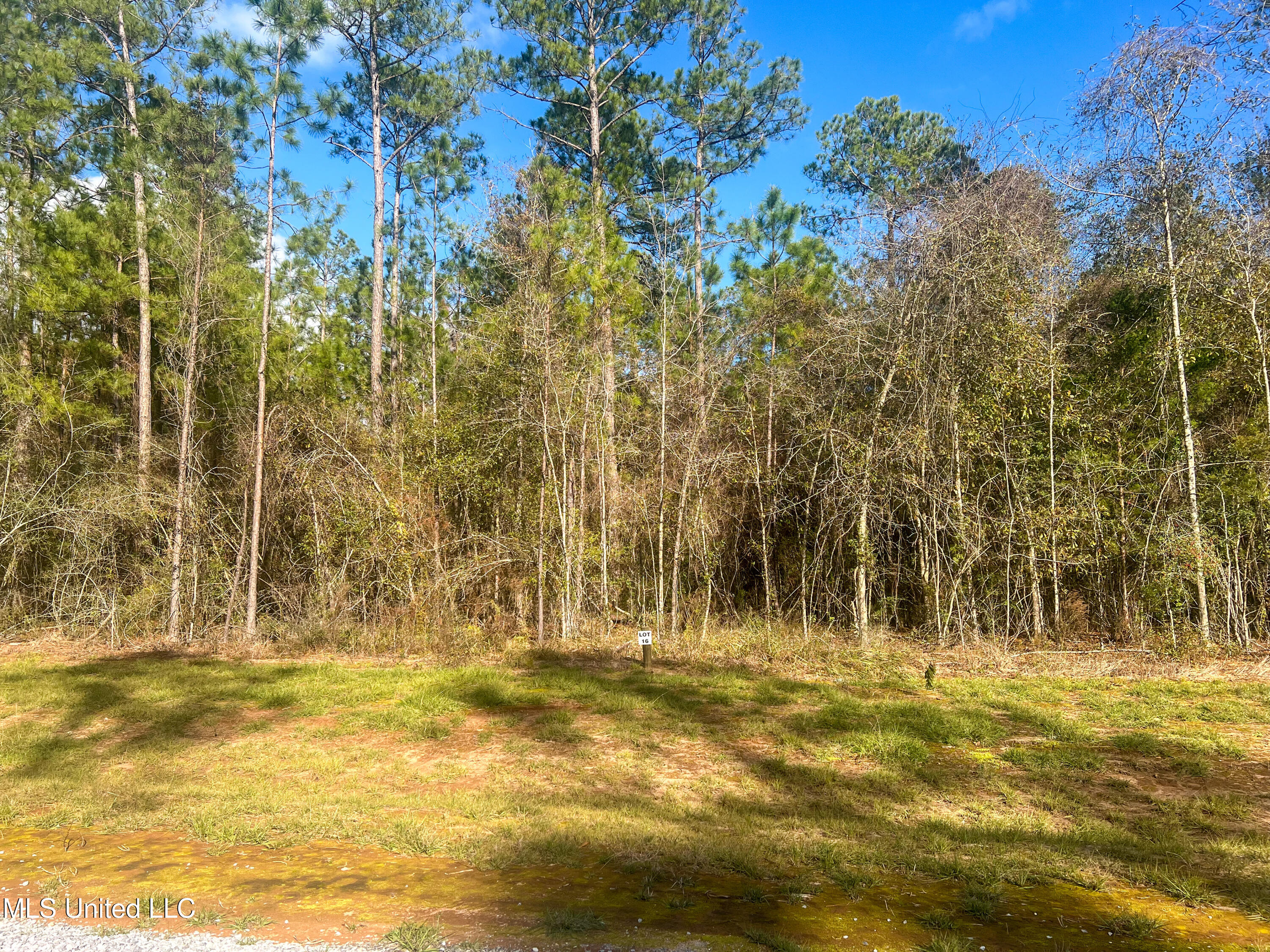 Lot 16 Pine Ridge Lane, Lucedale, Mississippi image 4