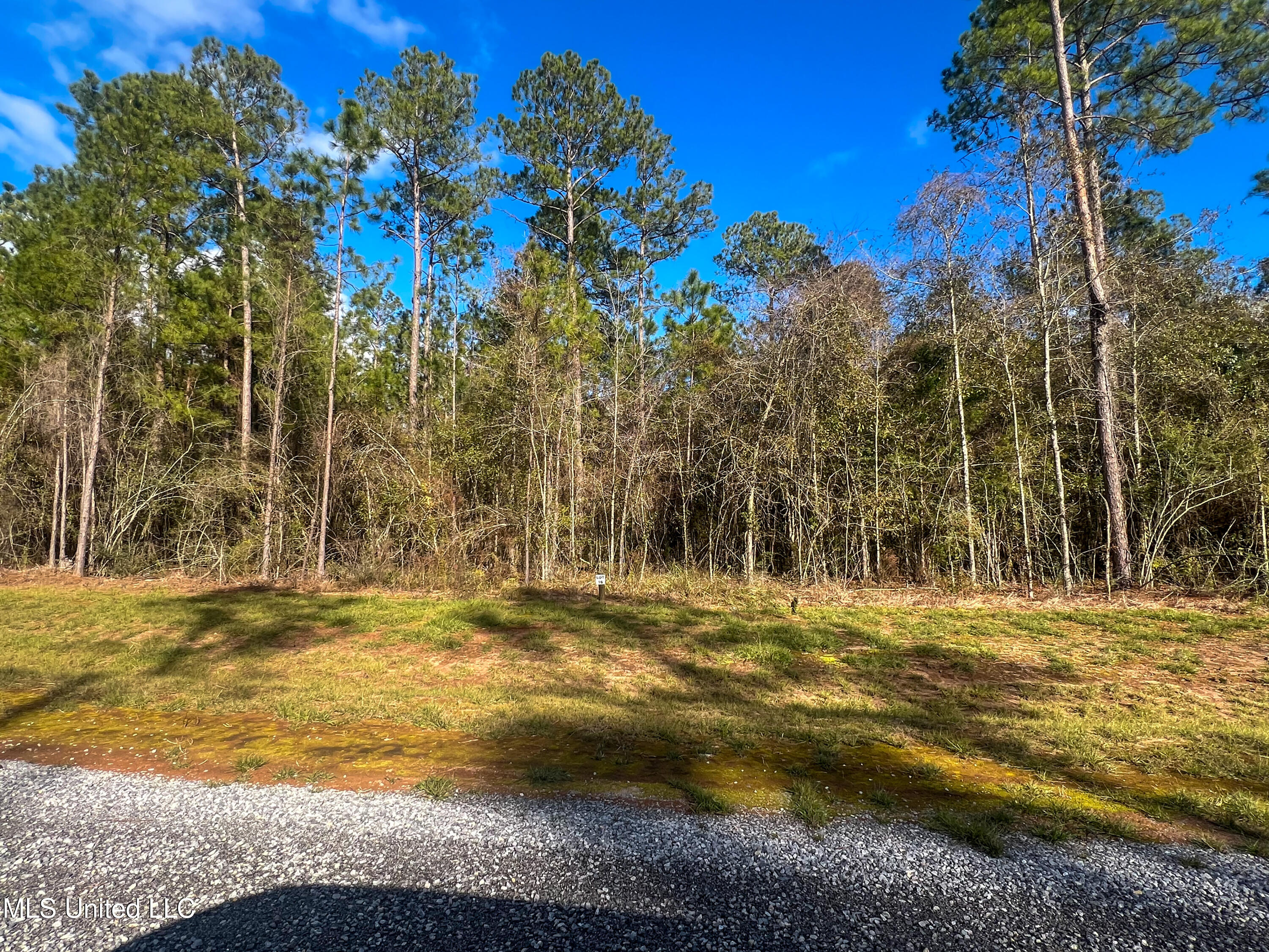 Lot 16 Pine Ridge Lane, Lucedale, Mississippi image 3