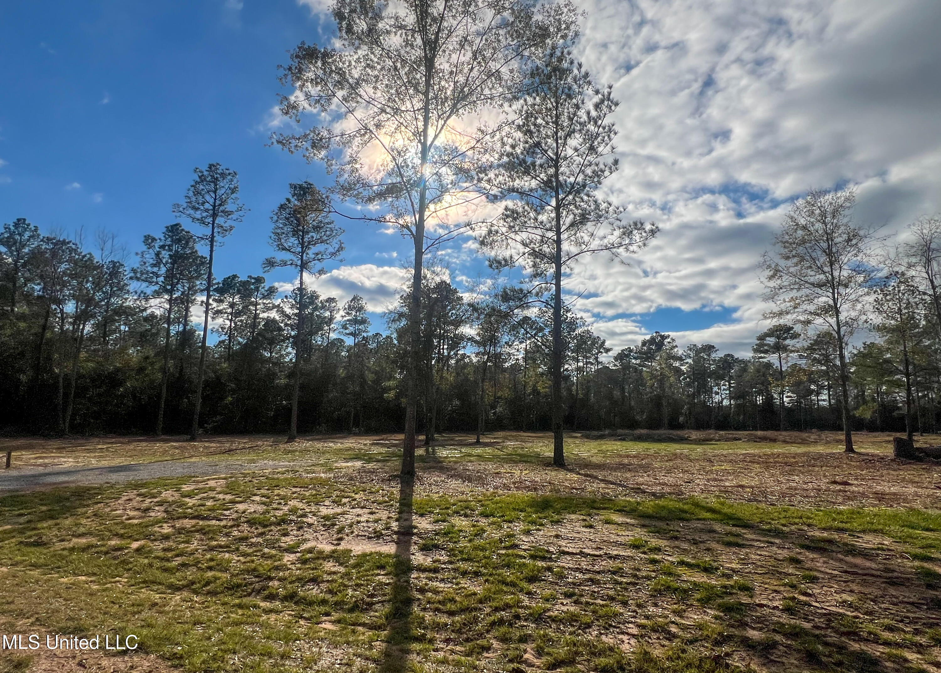 Lot 16 Pine Ridge Lane, Lucedale, Mississippi image 22