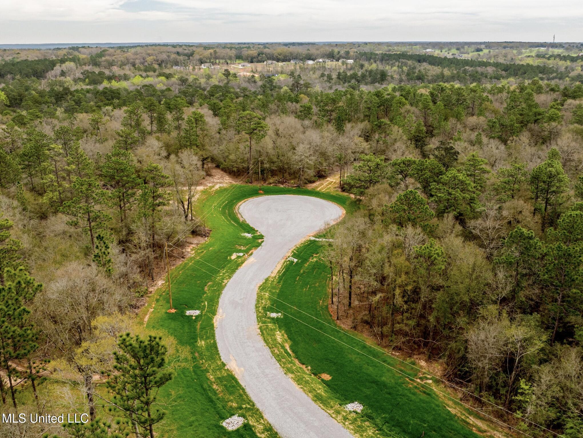 Lot 16 Pine Ridge Lane, Lucedale, Mississippi image 7