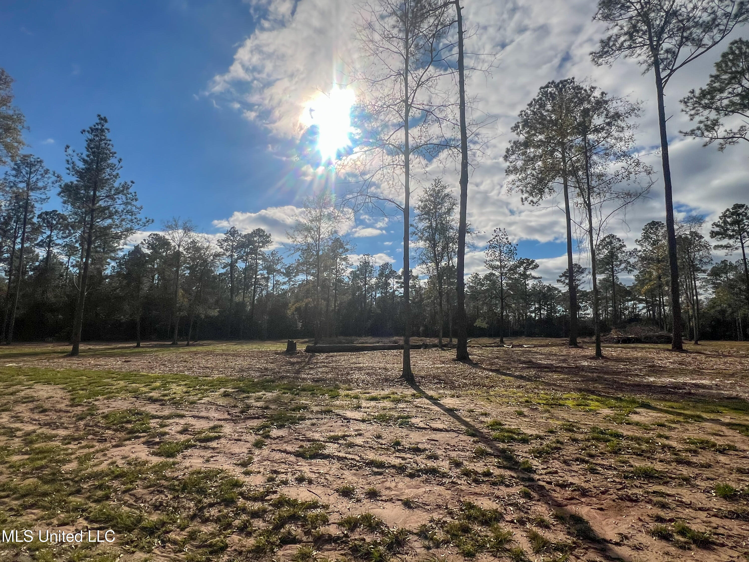 Lot 16 Pine Ridge Lane, Lucedale, Mississippi image 21