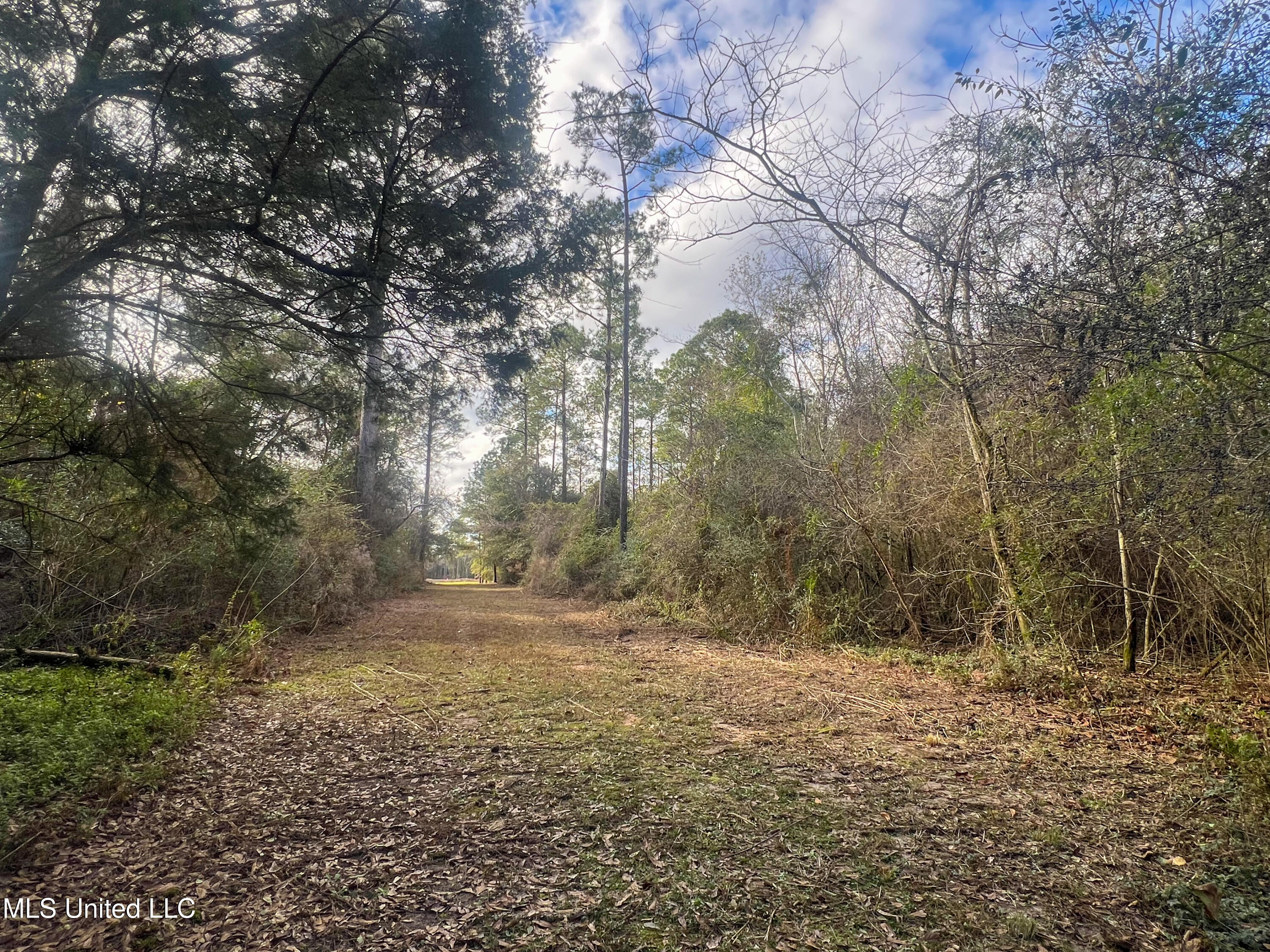 Lot 16 Pine Ridge Lane, Lucedale, Mississippi image 28