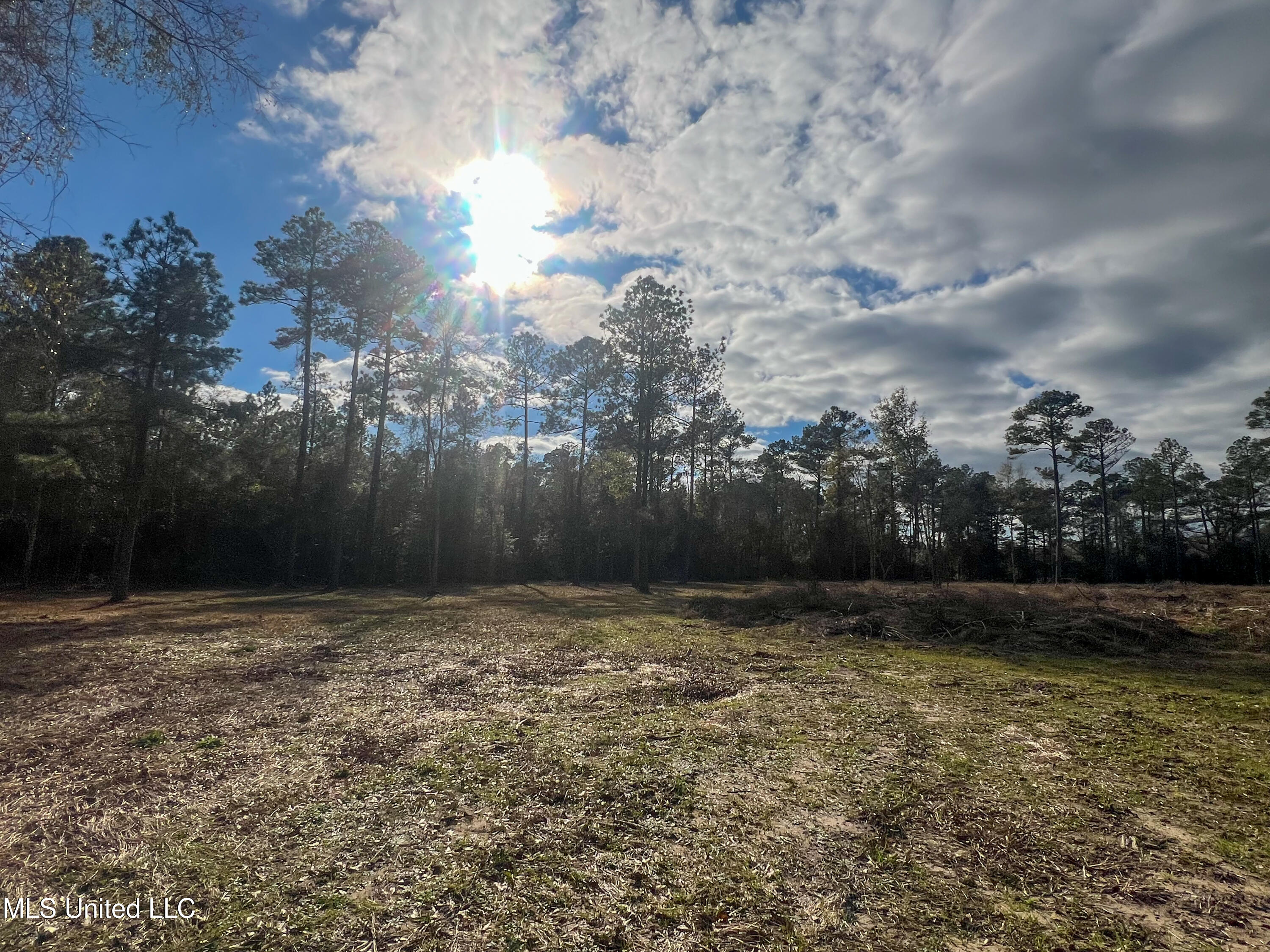 Lot 16 Pine Ridge Lane, Lucedale, Mississippi image 24