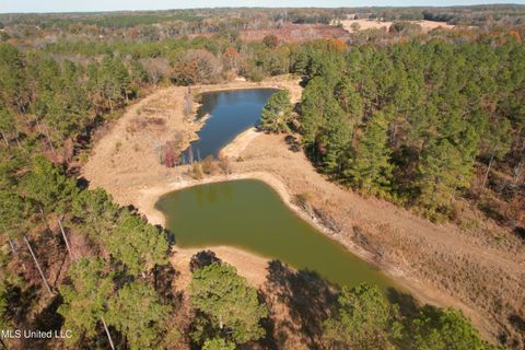 Vacant Land For Sale - Off Cr 115<br/> Carroll County, Carrollton, MS 38917