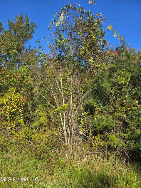 Vacant Land For Sale - Jim Ramsey Cutoff Road<br/> Vancleave, MS 39565