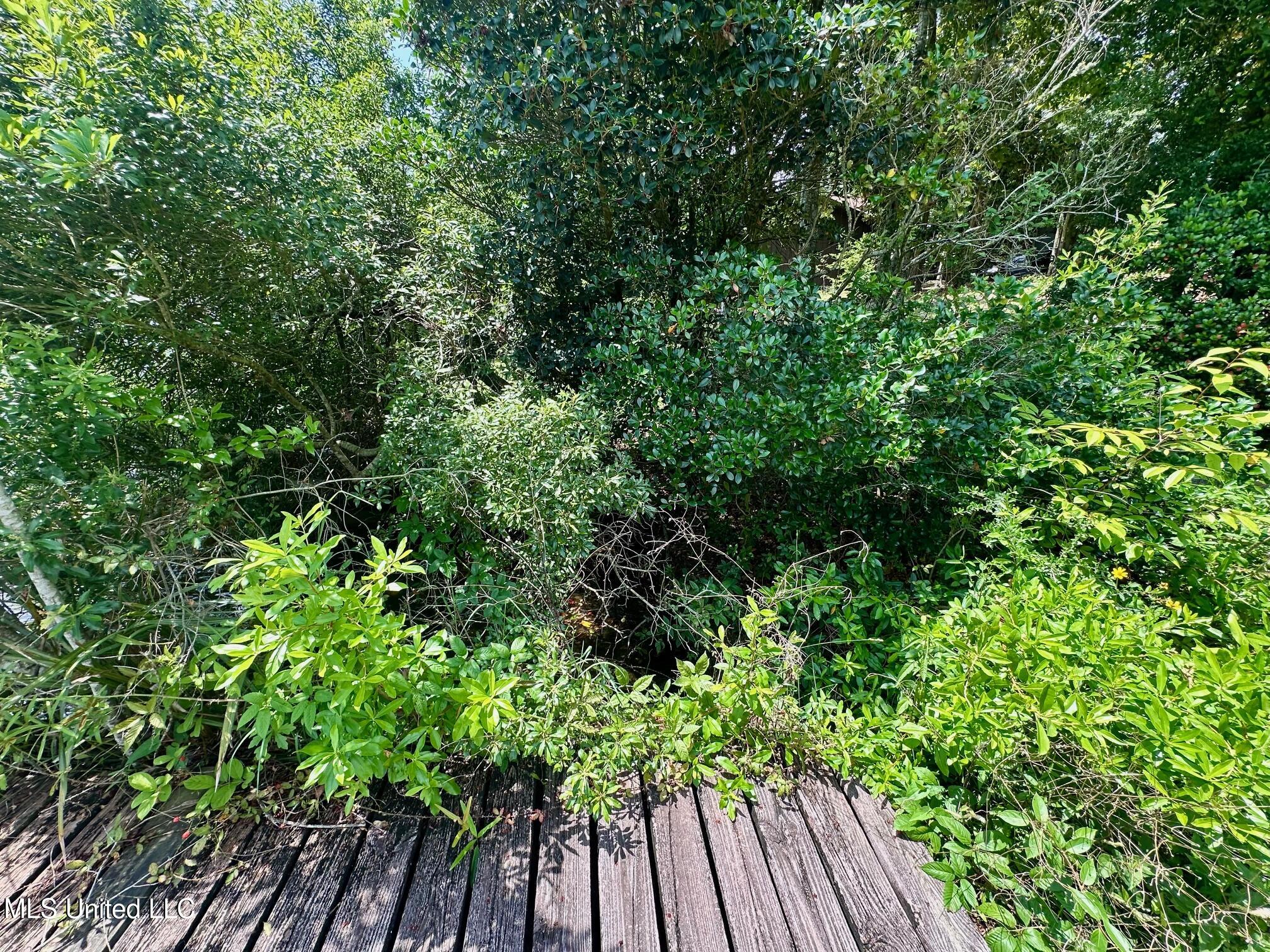 577 W Lakeshore Drive, Carriere, Mississippi image 26