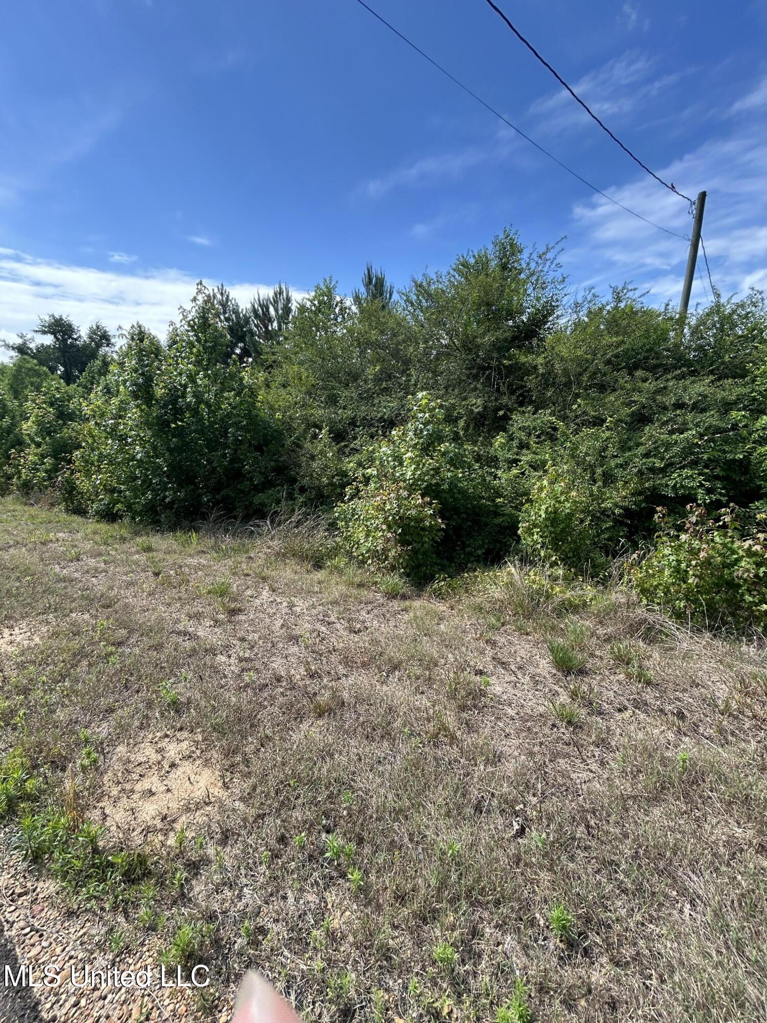 Yellowdog Road Road, Senatobia, Mississippi image 7
