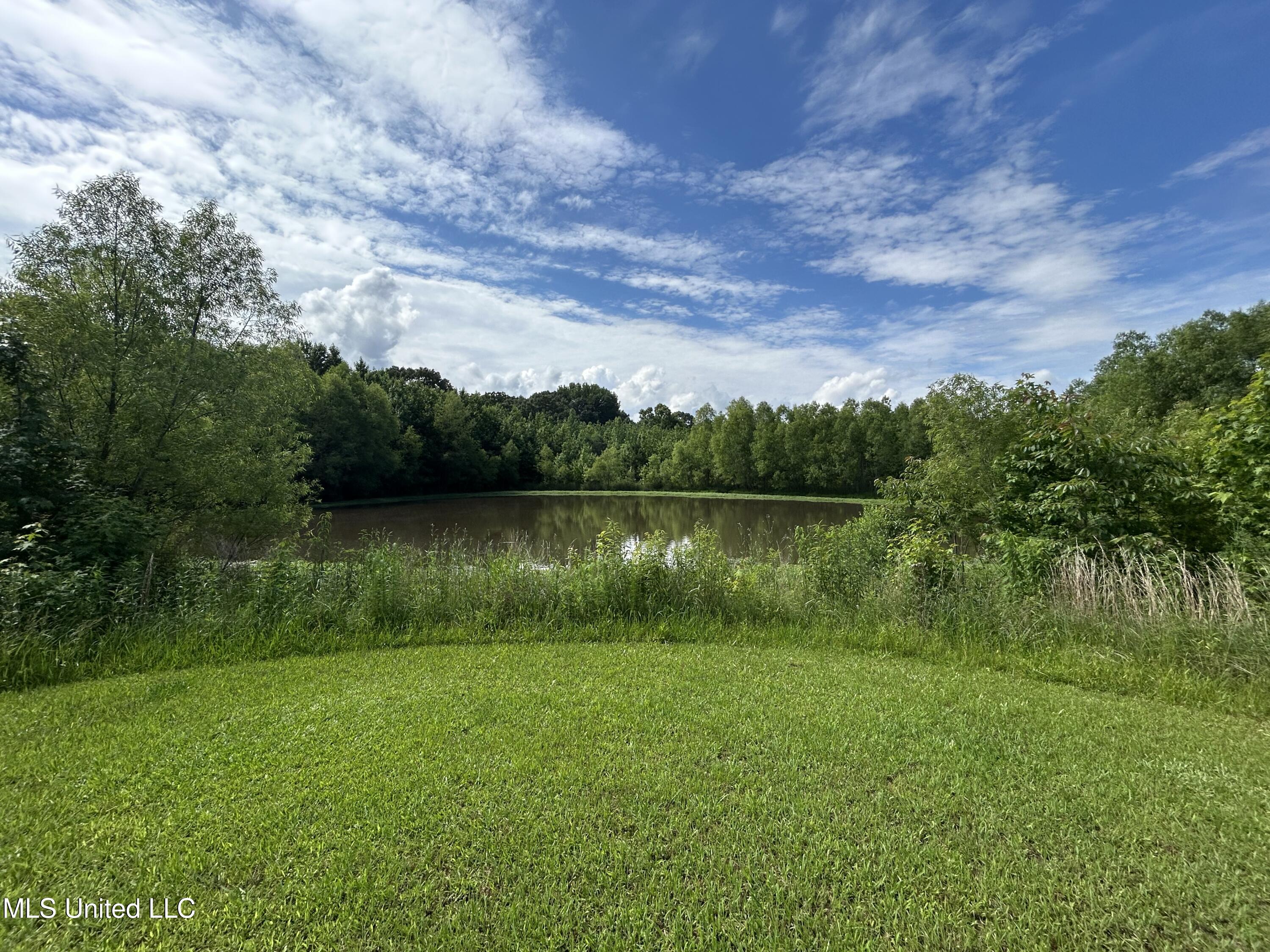 Yellowdog Road Road, Senatobia, Mississippi image 6