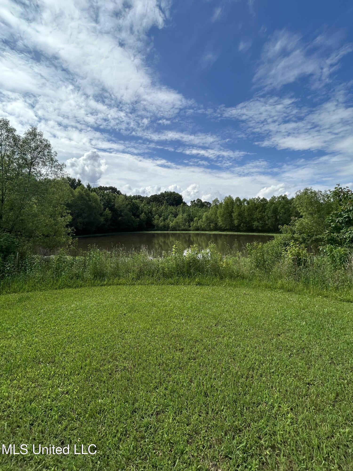 Yellowdog Road Road, Senatobia, Mississippi image 4