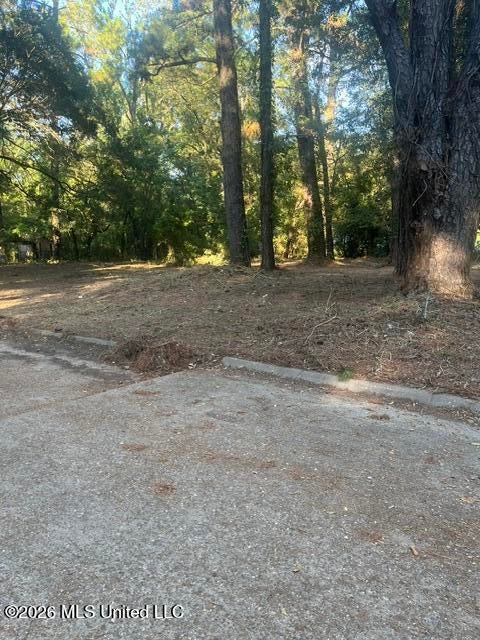 Vacant Land For Sale - SW Willaman Street<br/> Jackson, MS 39209
