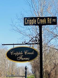 Cripple Creek Road, Canton, Mississippi image 14