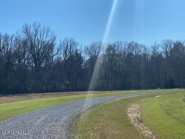 Cripple Creek Road, Canton, Mississippi image 6