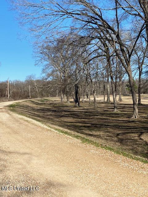 Cripple Creek Road, Canton, Mississippi image 13