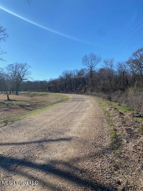 Cripple Creek Road, Canton, Mississippi image 15