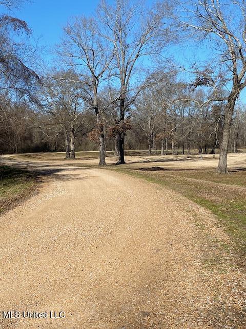 Cripple Creek Road, Canton, Mississippi image 12