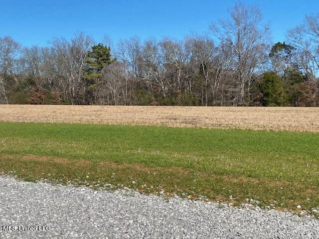 Cripple Creek Road, Canton, Mississippi image 7